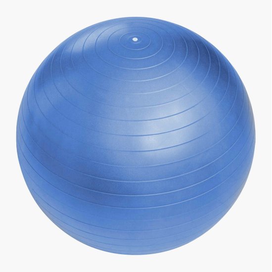 Гимнастическа топка SPARTAN 55 см
