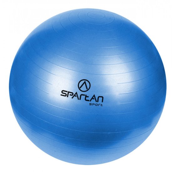 Гимнастическа топка SPARTAN 55 см