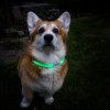 Кучешки нашийник LED Light Petsaber Maxi